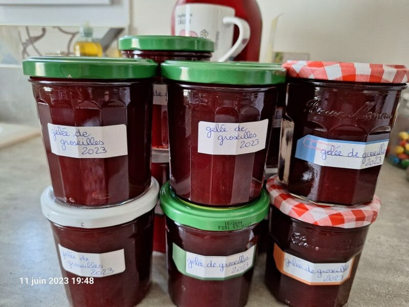 Cliquez pour zoomer ! Gelée de groseilles Thermomix par flo93