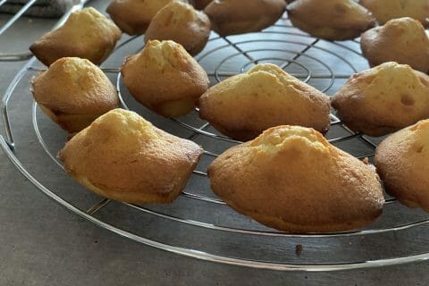 Cliquez pour zoomer ! Madeleines Thermomix par lebujodelaura