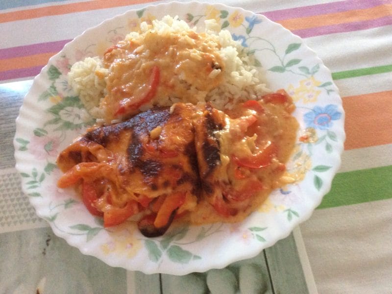 Cliquez pour zoomer ! Poulet à la crème de poivrons Thermomix par boissieu