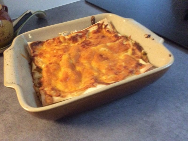 Cliquez pour zoomer ! Lasagnes de légumes Thermomix par boissieu