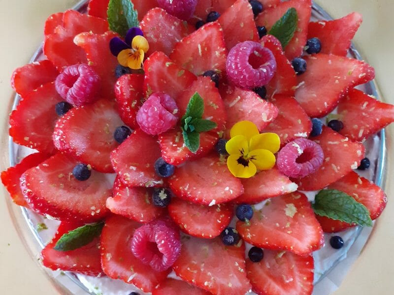 Cliquez pour zoomer ! Tarte aux fraises sans cuisson Thermomix par Steph_grn