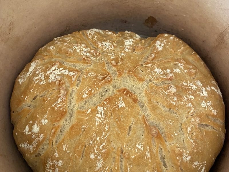 Cliquez pour zoomer ! Pain Cocotte Thermomix par Jenny77130