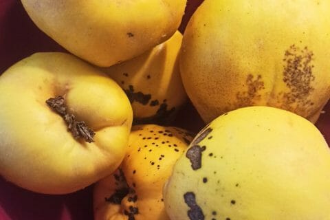 Cliquez pour zoomer ! Gelée de coings façon Cotignac Thermomix par laurylau97219