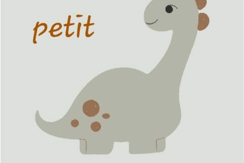 Cliquez pour zoomer ! Photo de blandine39100