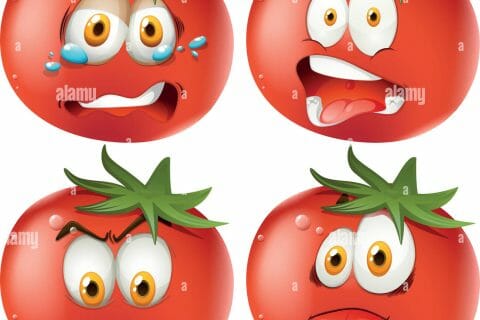 Cliquez pour zoomer ! Photo de blandine39100