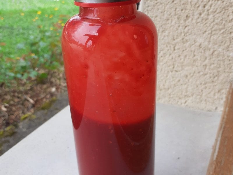 Cliquez pour zoomer ! Coulis de framboises Thermomix par blandine39100
