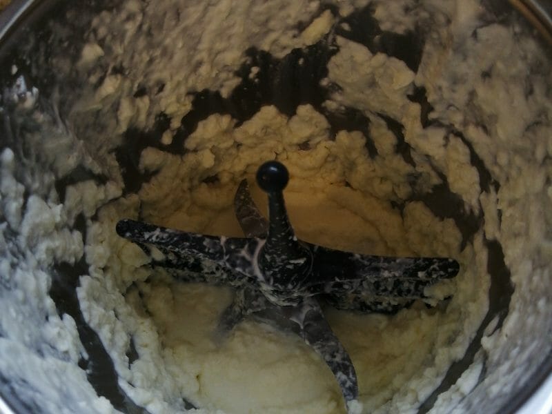 Cliquez pour zoomer ! image-ed88bfa5-2033-474b-8241-98715457428d Thermomix par Carine27170