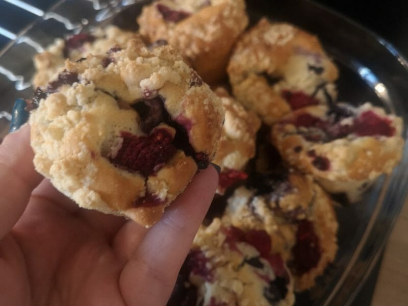 Cliquez pour zoomer ! Muffins aux myrtilles Thermomix par fanny_419