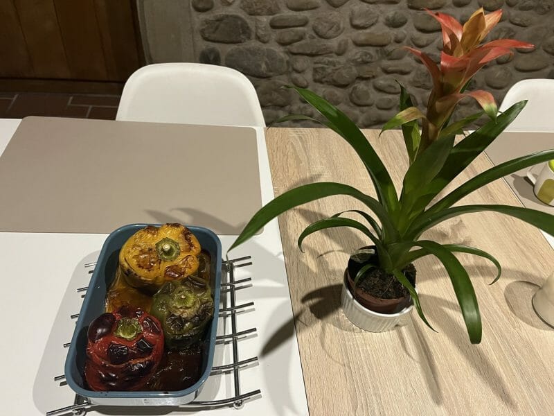 Cliquez pour zoomer ! Rocoto Relleno – Poivrons farcis à la Péruvienne Thermomix par Lisballe