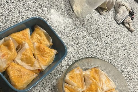 Cliquez pour zoomer ! Samoussas de légumes Thermomix par Lisballe