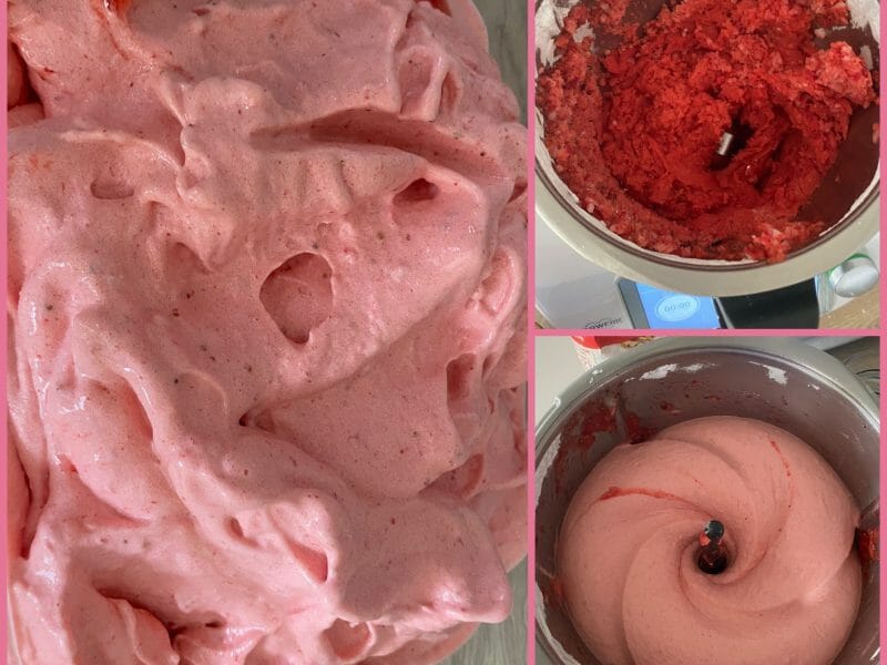Cliquez pour zoomer ! Sorbet aux fruits rouges Thermomix par Aurélie