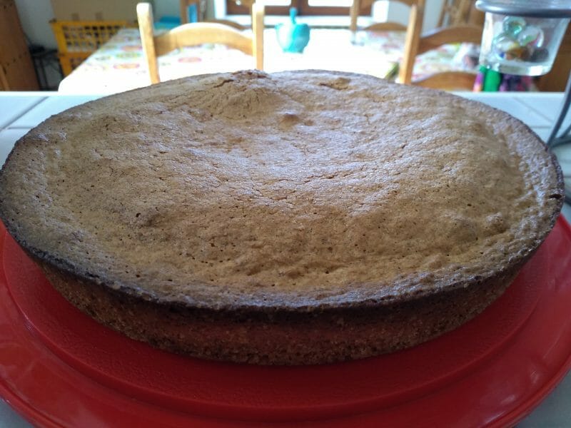 Cliquez pour zoomer ! Gâteau aux noix Thermomix par Liliejuju