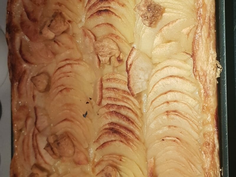 Cliquez pour zoomer ! Pâte feuilletée en escargot Thermomix par Sissou