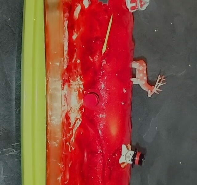 Cliquez pour zoomer ! Bûche citron et framboises Thermomix par namourlolie