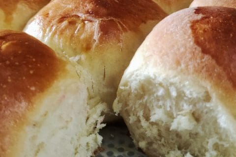 Cliquez pour zoomer ! Brioche Buchty Thermomix par faridda