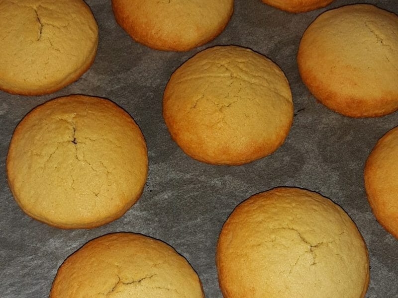 Cliquez pour zoomer ! Biscuits Kango Thermomix par Apsara