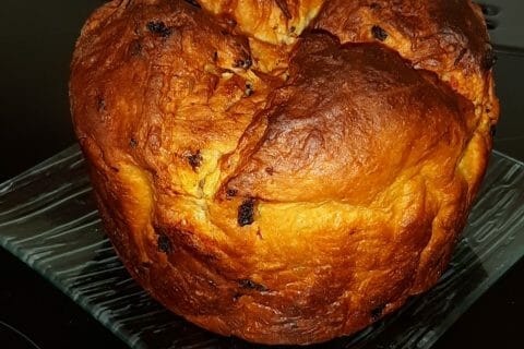 Cliquez pour zoomer ! Panettone Thermomix par Apsara