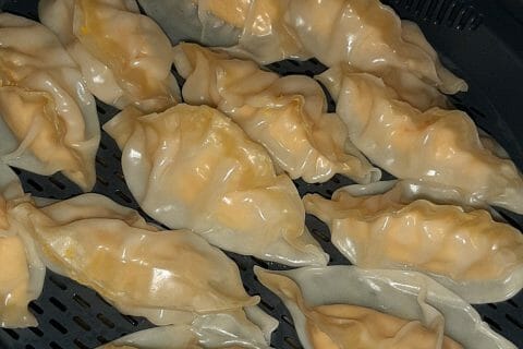 Cliquez pour zoomer ! Gyoza poulet et chou chinois Thermomix par Apsara