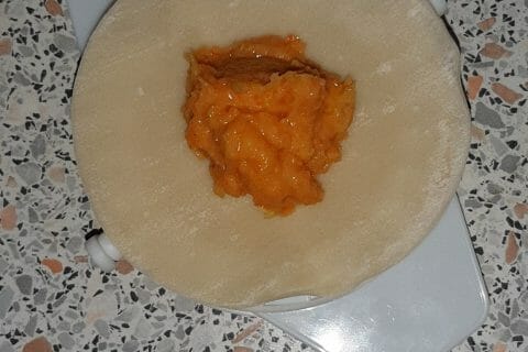 Cliquez pour zoomer ! Gyoza poulet et chou chinois Thermomix par Apsara