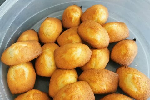 Cliquez pour zoomer ! Madeleines Thermomix par carole_2307