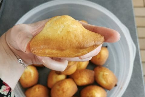 Cliquez pour zoomer ! Madeleines Thermomix par carole_2307