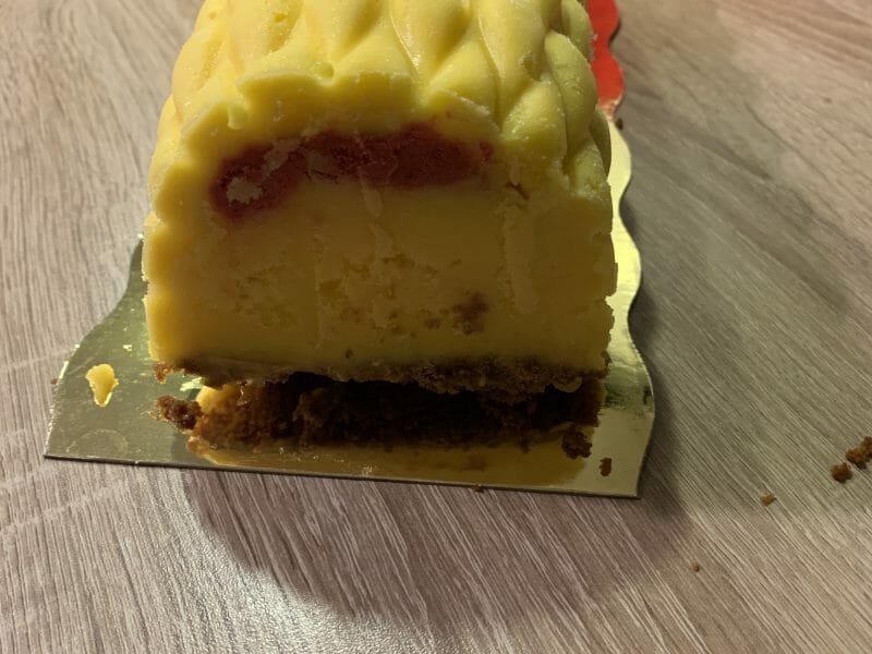Cliquez pour zoomer ! Bûche glacée mangue et framboise Thermomix par Yanis