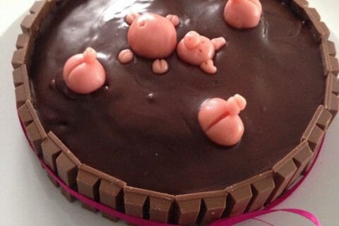 Cliquez pour zoomer ! La mare aux cochons Thermomix par kitcat812