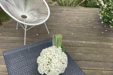 Cliquez pour zoomer ! Photo de Anais06