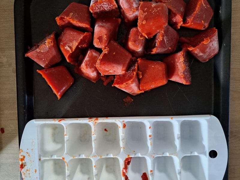 Cliquez pour zoomer ! Concentré de tomates Thermomix par mielmomix