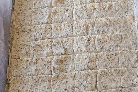 Cliquez pour zoomer ! Biscuits apéro aux graines Thermomix par veroludo56