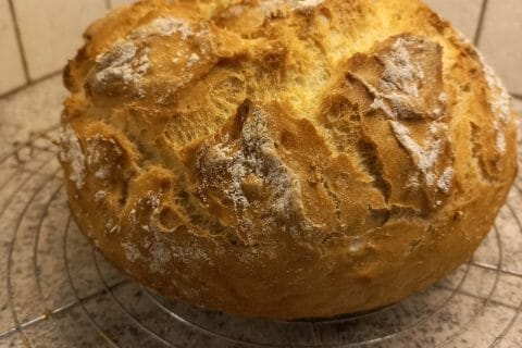 Cliquez pour zoomer ! Photo de mamieetpapi