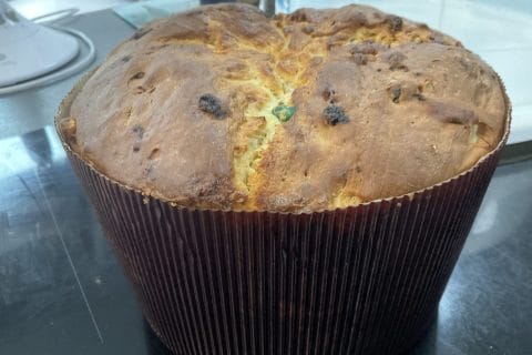 Cliquez pour zoomer ! Panettone Thermomix par frederic_110
