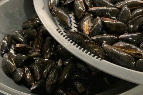 Cliquez pour zoomer ! Moules sauce poulette Thermomix par Ninilatortue