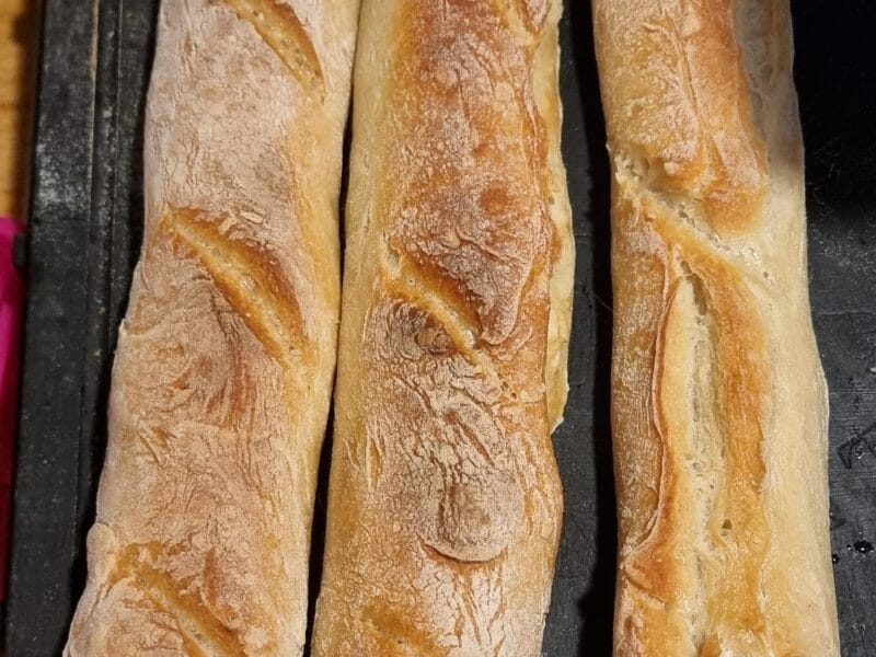 Cliquez pour zoomer ! Baguettes Thermomix par severine_405