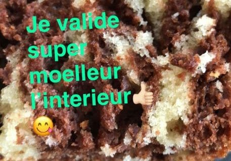 Cliquez pour zoomer ! Marbré au chocolat Thermomix par Nadia38