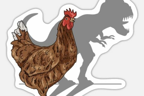 Cliquez pour zoomer ! Photo de 🍀nanou050885🍀