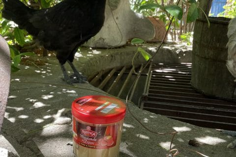 Cliquez pour zoomer ! Photo de nanou050885