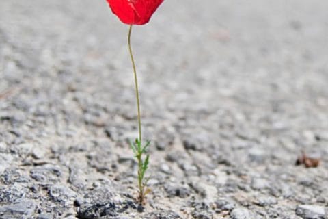 Cliquez pour zoomer ! Photo de 🍀nanou050885🍀