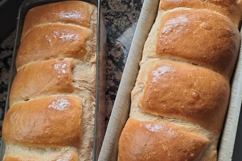 Photos des recettes