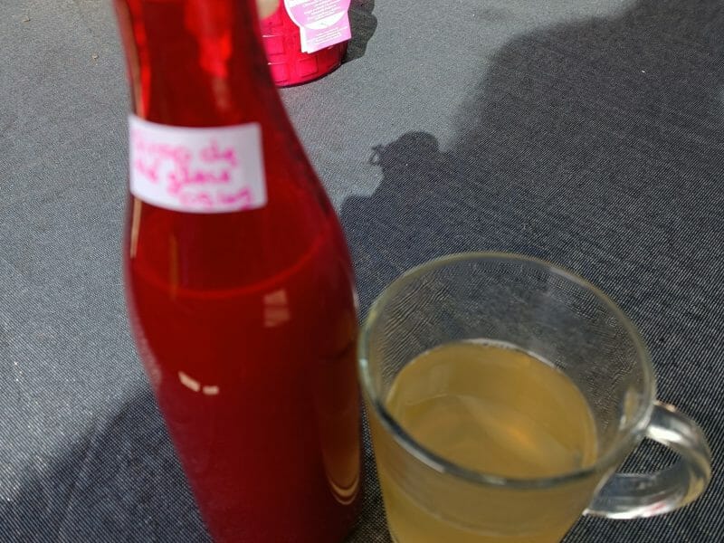 Cliquez pour zoomer ! Sirop de thé glacé – Ice tea citron menthe Thermomix par La Fée cuisine