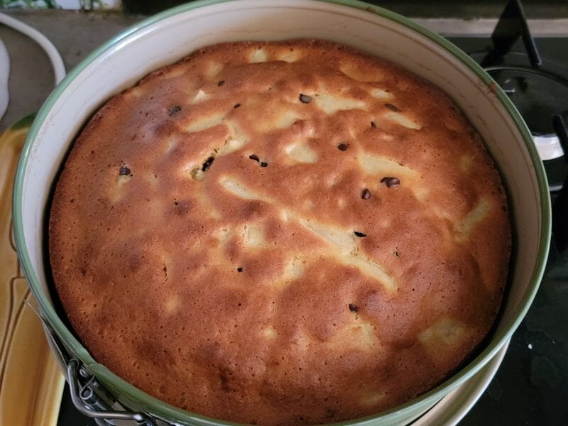 Cliquez pour zoomer ! Gâteau des femmes pressées poires et chocolat Thermomix par valou 46