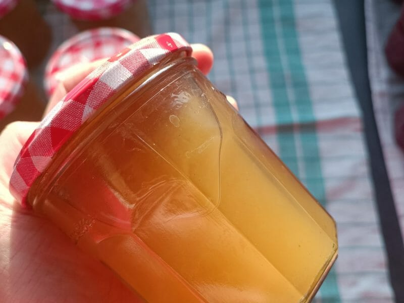 Cliquez pour zoomer ! Gelée de pommes Thermomix par loupiote59