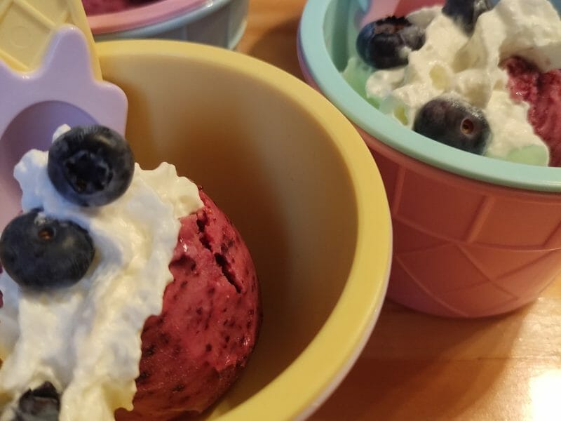 Cliquez pour zoomer ! Glace aux myrtilles Thermomix par mims2