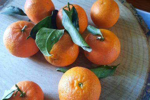 Cliquez pour zoomer ! Confiture de clémentines Thermomix par nono20290