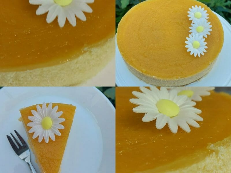 Cliquez pour zoomer ! Bavarois à l’abricot Thermomix par KariCook