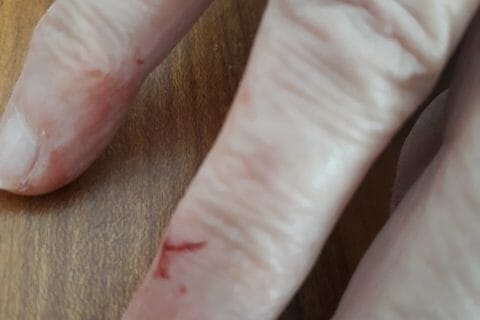 Cliquez pour zoomer ! Photo de annie02