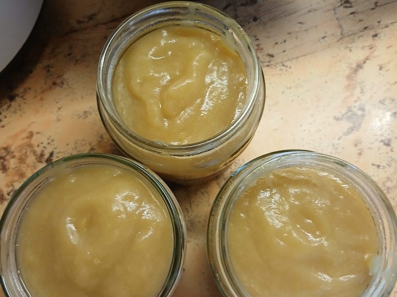 Cliquez pour zoomer ! Compote pomme rhubarbe à la vanille Thermomix par sylvie_608