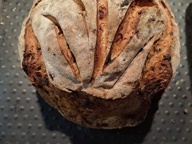 Cliquez pour zoomer ! Petits pains aux céréales Thermomix par Fofy