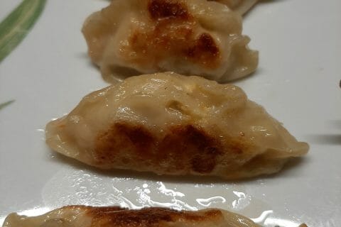 Cliquez pour zoomer ! Gyoza poulet et chou chinois Thermomix par Fofy