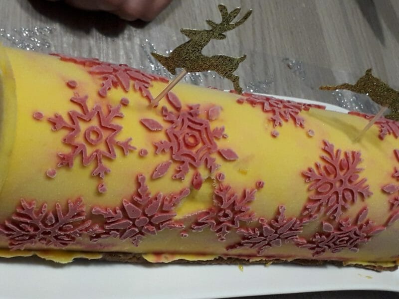 Cliquez pour zoomer ! Bûche glacée mangue et framboise Thermomix par Babeth-85